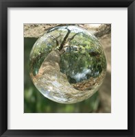 Nature Droplets Fine Art Print