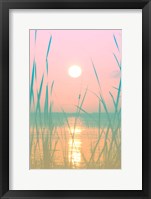 Fresh Sunset Views Fine Art Print