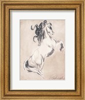 Majestic Horse Fine Art Print