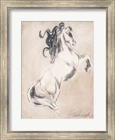 Majestic Horse Fine Art Print