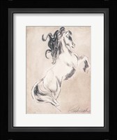 Majestic Horse Fine Art Print