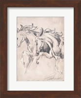 Majestic Horses Fine Art Print