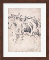 Majestic Horses Fine Art Print