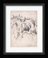 Majestic Horses Fine Art Print