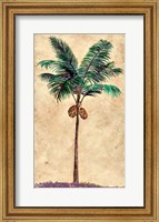Coconut Tribal Palm II Fine Art Print