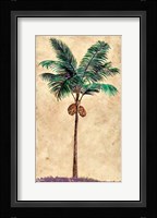 Coconut Tribal Palm II Fine Art Print
