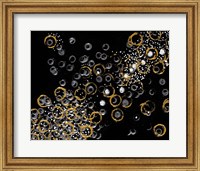 Black and Gold Bubbles II Fine Art Print