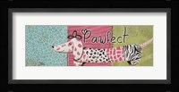 Pawfect Framed Print
