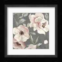 Dusty Rose I Framed Print