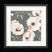Dusty Rose II Framed Print