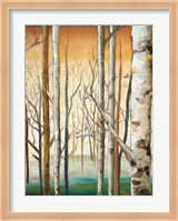 Gold Birch Forest II Fine Art Print
