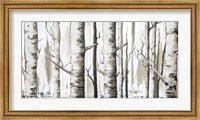 White Birch Forest Fine Art Print