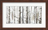 White Birch Forest Fine Art Print