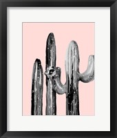 Natural Desert Cactus On Blush Fine Art Print