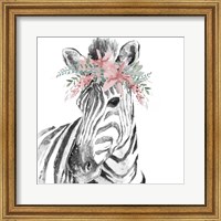 Water Zebra with Floral Crown Square Fine Art Print