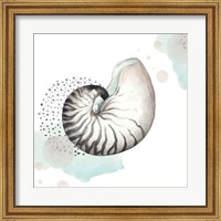 Turquoise Ocean Nautilus Fine Art Print