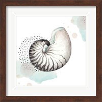 Turquoise Ocean Nautilus Fine Art Print