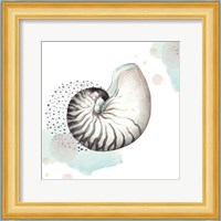 Turquoise Ocean Nautilus Fine Art Print