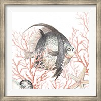 Ocean Fish On Coral Fine Art Print