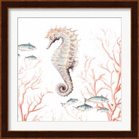 Seahorse On Coral Fine Art Print