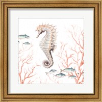 Seahorse On Coral Fine Art Print
