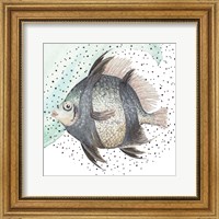 Coastal Fish I Fine Art Print