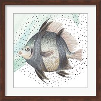 Coastal Fish I Fine Art Print