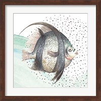 Coastal Fish II Fine Art Print