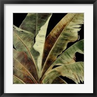 Uraba Palm on Black I Framed Print