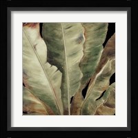 Uraba Palm on Black II Framed Print