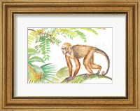 Monkey Roaming In The Jungle Fine Art Print