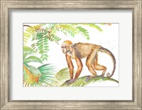 Monkey Roaming In The Jungle Fine Art Print