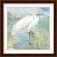 Wild Egret Fine Art Print