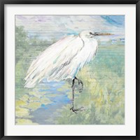 Wild Egret Fine Art Print