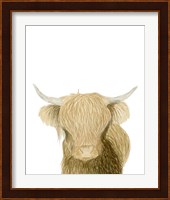 Highland Cattle Fine Art Print