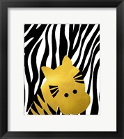 Gold Baby Zebra Framed Print