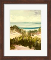 Seagrass Fine Art Print