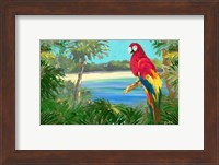 Parrot By The Ocean Fine Art Print