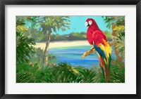 Parrot By The Ocean Fine Art Print