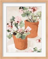 Potted Pink Geraniums Fine Art Print