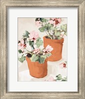 Potted Pink Geraniums Fine Art Print