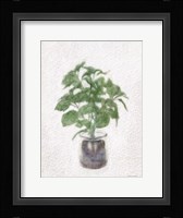 Basil Jar Fine Art Print