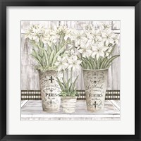 Amaryllis Multi Pots Fine Art Print