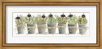 Herbs in a Row Fine Art Print
