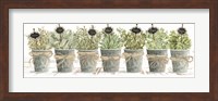 Herbs in a Row Fine Art Print