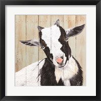 Want to Play? Fine Art Print