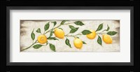 Lemon Branch Fine Art Print