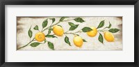 Lemon Branch Fine Art Print