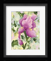 Purple Iris Fine Art Print