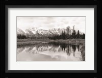 Tetons at Schwabachers Landing Fine Art Print